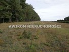 Działka rolna Krze Duże gm. Radziejowice - 2