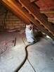 Docieplanie poddasza CELULOZA Kamera termowizyjna GRATIS - 12