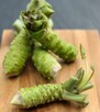 10 x WASABI PLANTS sushi japan sadzonki seed plants rhizome - 2