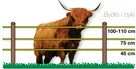 Pastuchy, kompletne ogrodzenia elektryczne. - 8