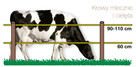 Pastuchy, kompletne ogrodzenia elektryczne. - 6