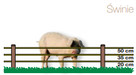 Pastuchy, kompletne ogrodzenia elektryczne. - 5