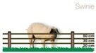 Sprzedaż pastuchów z ogrodzeniami elektrycznymi - 6
