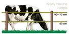 Sprzedaż pastuchów z ogrodzeniami elektrycznymi - 4