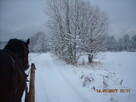 Spływy kajakowe , noclegi , kuligi , ogniska. - 16