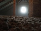 Ocieplenie poddasza celulozą i pianą PUR. Ełk - Suwałki - 11