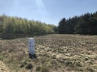Rynarzewo działka 950m2 ul.Powstańców Wielkopolskich - 4