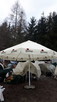 parasol ogrodowy browarski - 4