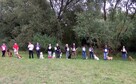 Szkolenie psów. Behawiorysta - konsultacje - 3