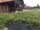 Mulczer Leśny/Mulczowanie/karczowanie/ usuwanie samosiejek - 12