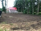 Mulczer Leśny/Mulczowanie/karczowanie/ usuwanie samosiejek - 10