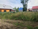 Mulczer Leśny/Mulczowanie/karczowanie/ usuwanie samosiejek - 9