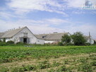Ferma drobiu - 4
