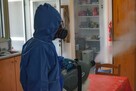 DEZYNFEKCJA - zwalczanie wirusów, bakterii, grzybów - 2