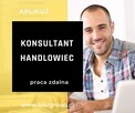 Handlowiec ds. szkoleń - praca zdalna