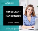 Konsultant ds. sprzedaży szkoleń - praca zdalna