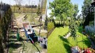 Zakładanie ogrodów nawadnianie trawa z rolki trawnik projekt - 9