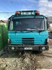 TATRA 815 DO DREWNA DO LASU - 3