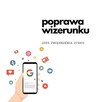 Poprawa wizerunku w sieci | Sztuczny ruch