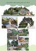 Projektowanie i wykonywanie ogrodów, pielęgnacja - 2