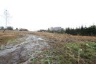 Działka Budowlana (6600 m2) okolice Różanej (Syców) - 12