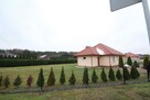 Działka Budowlana (6600 m2) okolice Różanej (Syców) - 16