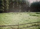 Rudziska działka rolna, las – 4,42 ha DUŻY POTENCJAŁ - 4