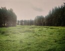Rudziska działka rolna, las – 4,42 ha DUŻY POTENCJAŁ - 3