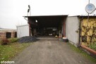 Sprzedam kurnik + dom / biuro Kiełpiny k/ Wolsztyn - 2