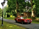 Ford Mustang 1966 do ślubu - 2