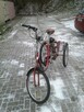 Sprzedam Używany Rower Trójkołowy z Silnikiem Spalinowym. - 2
