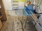 Sprzątanie po zalaniu Kędzierzyn-Koźle - Kastelnik odkażanie - 2