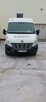Renault Master Maxi 2.3 DCi 2011r - 3