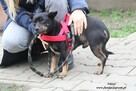 Nikiel szuka domu - 3