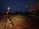 3x Działka budowlana 30 ar Lublin Łęczna Trębaczów Zofiówka - 5