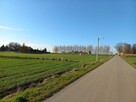 3x Działka budowlana 30 ar Lublin Łęczna Trębaczów Zofiówka - 1