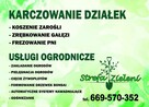 Karczowanie działek zrębkowanie gałęzi frezowanie - 8