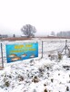 KARP Królewski - żywy- gospodarstwo rybackie Prusicko - 2