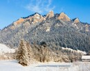 Zimowisko 28.01-04.02.23 - Pieniny - Krościenko nad Dunajcem