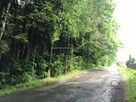 Działka leśna Wysoka gm. Wadowice - 2