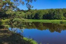 Działka z linią brzegową rzeki Narew (Szablak) - 5