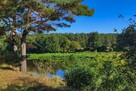 Działka z linią brzegową rzeki Narew (Szablak) - 3