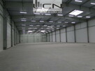 SPRZEDAŻ HALA 2900 m2 80 ar działka GORZÓW WLKP. - 1