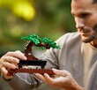 LEGO CREATOR 10281 EXPERT ICONS DRZEWKO BONSAI ZESTAW - 4