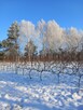 Siedlisko Na Polanie & Apartamenty Lipka WIELKA 31 - 9