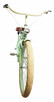 Rower miejski damski 26 28 cruiser damka PEPPERMINT RoyalBi - 6