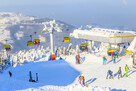 Obóz Narty / Snowboard 28.01 - 03.02.2024 - Karpacz - 2