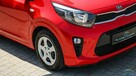 Kia Picanto 2021 III Hatchback 5D FACELIFTING 1.0 DPI 67KM Manual - 8