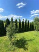 DOM SZKIELETOWY, Celinów, 42 km od Warszawy - 13