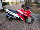 Honda CBR 1000 dual F - 3